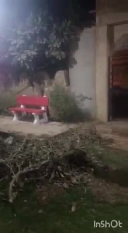 जैसलमेर: सरस्वती वाटिका में नगर परिषद ने करवाया विकास कार्य, लाइट और फव्वारा शुरू