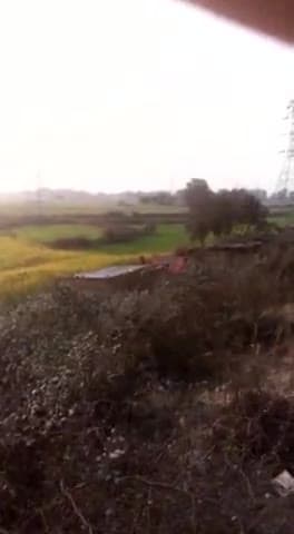 दूर से आए हाथी उत्तेजक हो गया और नगर पंचायत सहजनवा क्षेत्र में घुस चुका है सावधान रहें सतर्क रहें #सहजनवा_में_आया_हाथी