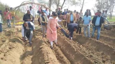 यूपी बीसीएम ग्रुप की मालिकिन अवांतिका सरावगी ने बजरडीह गांव गन्ना बोआई कर किसानों से गन्ना रकबा बढ़ाने की अपील किया। चीन