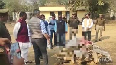 रॉबर्ट्सगंज: चुर्क रेंज ऑफिस कैम्पस में हुआ सड़क दुर्घटना में मृत तेंदुए का अंतिम संस्कार, रेंजर, वार्डेन व डीएफओ वन्य जीव रहे मौजूद