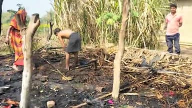 चकिया: झोपड़ी में लगी आग गृहस्थी का सामान जलाकर हुआ राख #dmchandauli @chandaulitvnews 
@chakialive