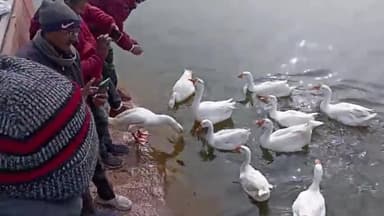 #Connect_Dholpur_to_Krishnacircuit
तीर्थराज मचकुंड धौलपुर को कृष्णा सर्किट में जुड़वाने  के लिए अब आर पार ..हल्ला बोल