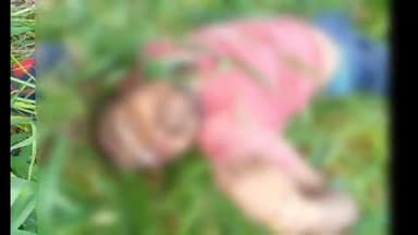 हमीरपुर: पंधरी गांव में शहद तोड़ने के लिए पेड़ में चढ़ा युवक गिरकर हुई मौत