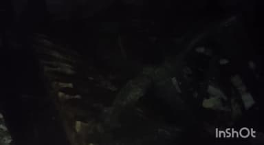 बीकानेर: रानी बाजार औद्योगिक क्षेत्र के पांच नंबर रोड स्थित टेंट हाउस के गोदाम में लगी आग लाखों के नुकसान का अनुमान