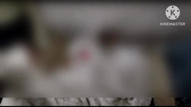 गोलमुरी-सह-जुगसलाई: मानगो थाना क्षेत्र के आजाद नगर रोड नंबर 6 के रहने वाले व्यक्ति के साथ मारपीट कर छीन लिया रुपया, प्राथमिकी दर्ज