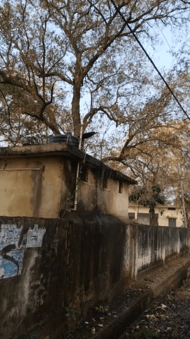 Chhatarpur police line #savewatersavelife 
छतरपुर पुलिस लाइन नयामुहल्ला @water  💦