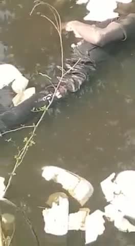 जलेसर: तहसील क्षेत्र के गादुरी के पास बंबा में मिला अज्ञात व्यक्ति का शव, लोगों ने पुलिस को दी सूचना