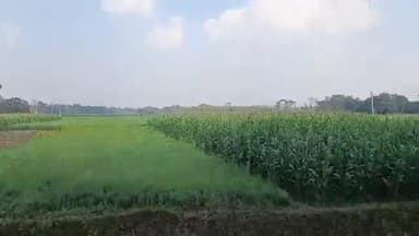 बिहपुर: भ्रमरपुर के किसान को खेत पटवन करने से रोकने व रंगदारी  मांगने के मामले में थाने में मामला दर्ज।