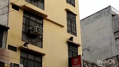 गोदौलिया के पास बंदरों के हुड़दंग से गिरा छज्जा, बाल-बाल बचे लोग