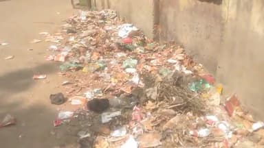 बलरामपुर समाचार सदर तहसील में लगा कूड़े का अंबार नगर पालिका परिषद बलरामपुर उड़ा रहा स्वच्छता अभियान का मजाक मामला सदर तहसील उप जिला अधिकारी कार्यालय के चंद कदम दूरी पर माया होटल निकलने वाली सीसी मार्ग का सामने तहसील का पूर्ति कार्यालय पूर्व