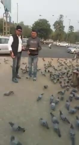New Delhi after shoot,  kabutar(Pegion) ko dana detye huye