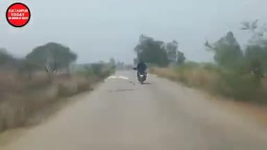 यूपी में सुल्तानपुर के इस सारस पक्षी ने बाइक सवार के साथ साथ 30 किलोमीटर की दूरी तय कर दोस्ती मिसाल कायम की#यूपी#चंदौली