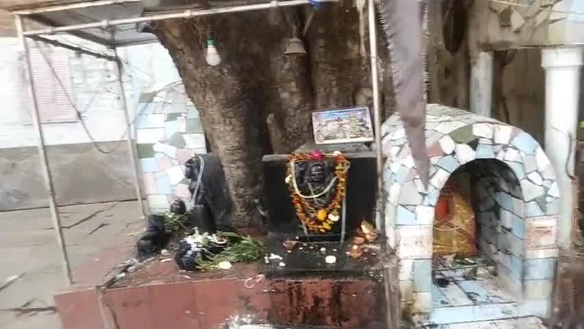 कल #महाशिवरात्री के पावन अवसर पर विभिन्न धार्मिक कार्यक्रमों में शामिल होने का शुभ अवसर प्राप्त हुआ। 
"जय जय महाकाल"