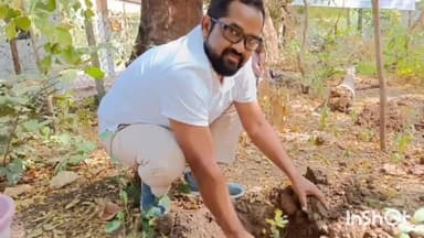 होशंगाबाद नगर: अंकुर अभियान के तहत ज़िला पंचायत सीईओ व अन्य कर्मचारियों ने किया जिला पंचायत परिसर में पौधारोपण