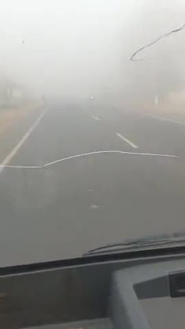 सासनी: #सासनी फिर कोहरा ने ली वापसी आगरा अलीगढ़ रोड सासनी