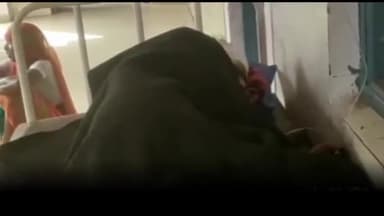 बड़ा मलेहरा: नगर के बड़े पुल के पास साइकिल से दूध बेचने जा रहे वृद्ध को अज्ञात बोलेरो ने मारी टक्कर, सीएचसी में उपचार जारी