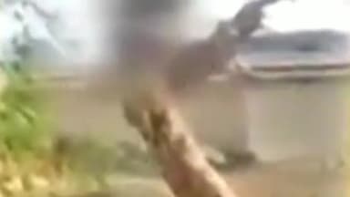 देवसर: ग्राम जरौधी में 1 युवक ने अपने घर के सामने मुनगा के पेड़ में फांसी लगाकर की आत्महत्या, जांच में जुटी पुलिस