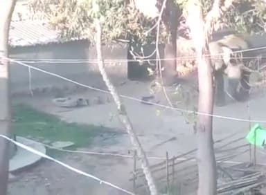 लोहरदगा: भंडरा थाना क्षेत्र के अंतर्गत ग्रामीणों की जान लेने वाले हाथी के विरुद्ध हो सकता है बड़ा फैसला, डीएफओ ने दी जानकारी