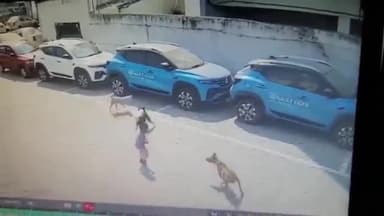 आवारा कुत्तों के झुंड ने ले ली 4 साल के मासूम बच्चे की जान ।
#हैदराबाद #hedrabad