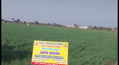 जलेसर: संगम एग्रीजंक्शन अवागढ़ पर NFL कंपनी के अधिकारियों व कृषि वैज्ञानिकों ने किसानों को ड्रोन स्प्रे के संबंध में दी जानकारी