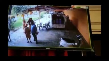 हरिद्वार: निर्मल अखाड़े के संतों में पेड़ काटने को लेकर हुई मारपीट, सीसीटीवी में कैद हुई वारदात