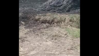 सहसवान: गांव अलहदादपुर धोबई में खेत में गेहूं की सिंचाई करते समय पंपसेट कि चिंगारी से लगी आग, हुआ नुकसान