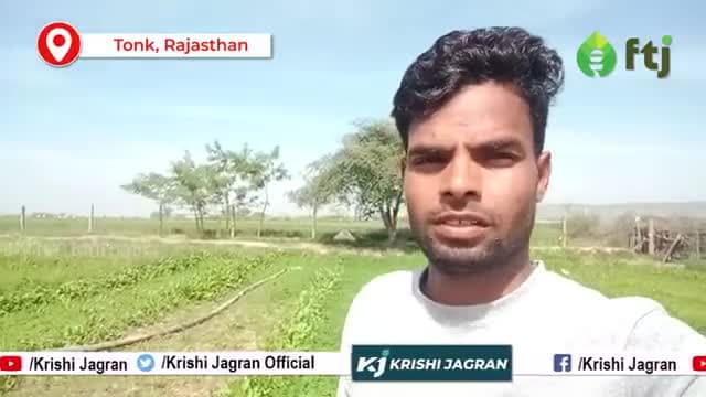 Good Quality गेहूं में आखरी सिंचाई करने की सम्पूर्ण जानकारी | 

#WheatFarming #gehukikheti