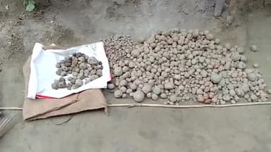 यह आलू पटेरा सब्जी मंडी पवन सिंह जी की गद्दी की है दाम लेते हैं चोक और सम्मान देते हैं सरा हुआ ठोक इनका पुराना धंधा है। लगभग लगभग उस मंडी में सारे लोगों का यही हाल है। जिस में सुधार की बहुत गुंजाइश है।
#जागो_ग्राहक_जागो🤣😂🤣😂