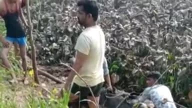 धनौरा: गांव पपसरा खादर मैं डैर में फंसा बेसहारा पशु, ग्रामीण ट्रैक्टर की मदद से बाहर निकाला