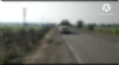 खुरई: बायपास रोड पर दुर्लभ प्रजाति के काले हिरण की दुर्घटना में घायल होने पर कुत्तों ने नोच कर मार डाला