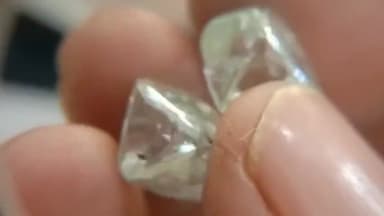 पन्ना: कलेक्ट्रेट कार्यालय में दूसरे दिन भी नहीं नीलाम हुए मुख्य आकर्षण का केंद्र रहे बड़े हीरे, खनिज अधिकारी ने दी जानकारी