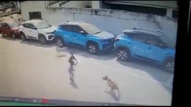 हैदराबाद से आई दिल दहला देने वाली घटना, 4 साल के मासूम को कुत्तों के झुंड ने नोंच-नोंच कर मार डाला #viralvideo