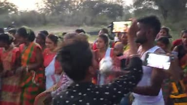 #दिशोम_बाहा ₹संताल समुदाय पर्व
जोहर #राजु_सिंह