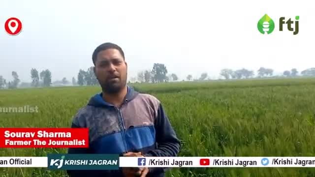 इस दवा का 250 ml का प्रयोग कर बनाएं अपनी फसल को और बेहतर
#gehukikheti #agriculture