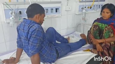 जमुई: बालडा नहर के पास ऑटो से मवेशी टकराने पर एक युवक का टूटा पैर, सदर अस्पताल में कराया गया भर्ती