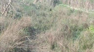 बलरामपुर समाचार लाखों रुपए खर्च काम  dheleका नहीं मामला सिंचाई विभाग कलंदरपुर  drenका है जहां पर सरकार द्वारा किसानों के खेतों में पानी पहुंचाने के लिए हर वर्ष लाखों रुपए खर्च किया जाता है लेकिन जमीनी हकीकत पर कोसों दूर यशवी शुक्ला क्रांति