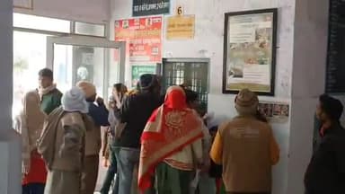 धनौरा: गजरौला शहर में ग्रामीण इलाकों में बड़ा आवारा कुत्ते और बंदरों का आतंक 46 लोगों पर किया हमला चिकित्सक ने दी जानकारी