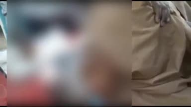 अररिया: रानीगंज के वॉर्ड-5 में सड़क पार करने के दौरान बाइक की ठोकर से एक वृद्ध गंभीर रूप से हुआ घायल