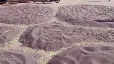 कटनी नगर: मड़ी में किसानों के साथ व्यापारी कर रहें मनमानी,कुठला पहरुआ मड़ी का मामला, मंडी प्रशासन नहीं दे रहा ध्यान