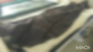 मुंगेर: जिला स्कूल मछली आरत के समीप ऑटो पलटने से युवक हुआ घायल, इलाज के दौरान सदर अस्पताल में हुई मौत