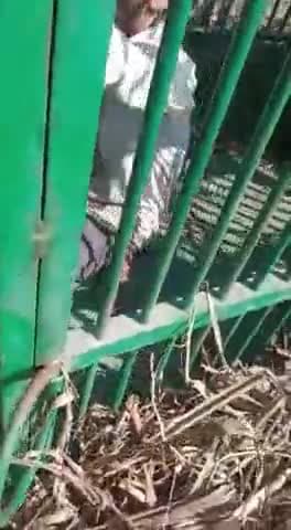 बुलंदशहर में मुर्गे के लालच में पिंजरे में फंस गया शख्स, तेंदुए को पकड़ने के लिए लगाया था पिंजरा