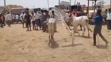 ಗದಗ: ಮಾ. 15ರವರೆಗೆ ಜಿಲ್ಲೆಯಾದ್ಯಂತ ಜಾನುವಾರು ಸಂತೆ, ಜಾತ್ರೆ ಮತ್ತು ಸಾಗಾಣಿಕೆ ನಿಷೇಧ ಮುಂದುವರಿಕೆ