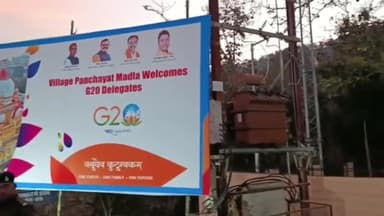 पन्ना: पन्ना टाइगर रिजर्व पहुंची G-20 देशों का प्रतिनिधि मंडल, प्राकृतिक नजारों का लिया आनंद