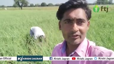 लहसुन की खेती के लिए किस प्रकार तैयार करें खेत और कैसे करें बुवाई 
#Garlicfarming #lahsunkikheti #lahsunfarming