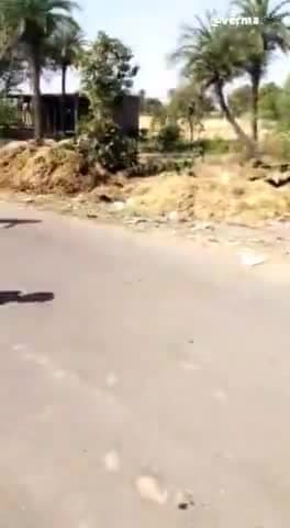 इछावर: ग्राम कुशलपुरा में गेहूं से भरी ट्रॉली में झूलते तारों से लगी भीषण आग, सूचना के आधे घंटे बाद पहुंची फायर ब्रिगेड