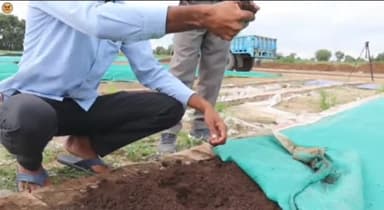 बुलंदशहर: जिले में गाय के गोबर से बनेगी कंपोस्ट खाद, कंपोस्ट खाद से जैविक खेती को मिलेगा लाभ