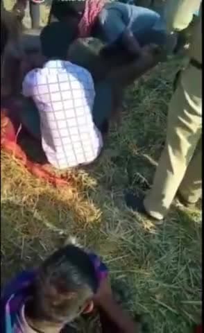 पसान : पसान क्षेत्र के तेलियामार गांव में एक जंगली सूअर ने महिला पर हमला किया मौके पर दोनों की मौत हो गई