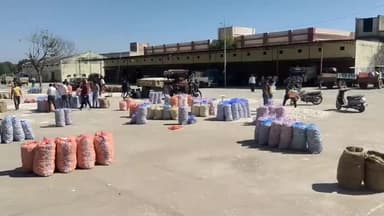 जावद: कृषि उपज मंडी जावद में 1720 बोरी दर्ज हुई लहसुन की आवक