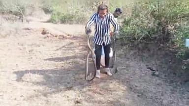 सिरोंज: क्षेत्र के अलग-अलग स्थानों से रेस्क्यू किए गए 10 से अधिक सांपों को स्नेक सेवर ने वन विभाग के साथ जंगल में छोड़ा