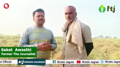Organic Fertilizer के साथ में मटर की फसल पर किसान ले सकता है दोगुना लाभ

 #krishijagran #matarkikheti